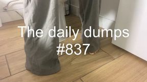 The daily dumps #837 mp4
