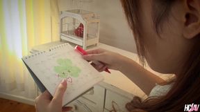 Hairy Japanese Babe Rika Aiba Has Her Lustful Pussy Dicked