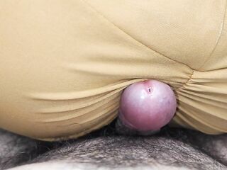 Bang My Neighbor Day and Night at my Wife's Couch