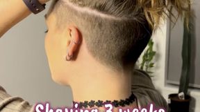 Shaving 3 Weeks of Undercut Growth to Grade Zero