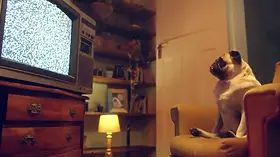 BENEFIT MONKEY: We were in the middle of recording but we couldn't hold the desire - P2