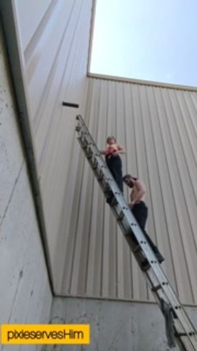 Pilot catches pixieservesHim at it AGAIN risky public outdoor quickie