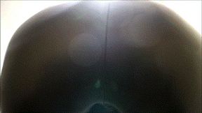 Leather ass with fart on your face WMV