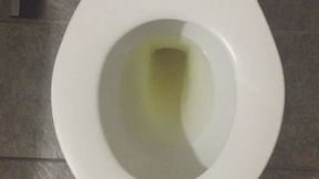 GOLDEN PISS IN FULL TOILET