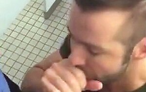 Handsome guy sucks dick in restroom stall