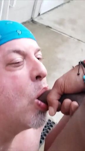 Bear Gets Pissed on by BBC