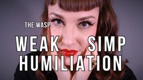 Simp Humiliation JOI