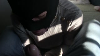 la vacca influenzata cerca la vitamina c ma non riesce vacca da macello