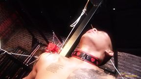 Bound servant pleases his mistress with mouth and lets her ride his shaft