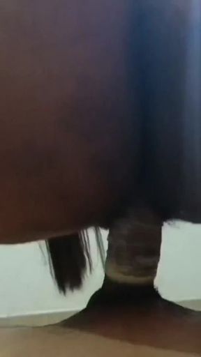 Thrilling moment from &quot;Landlord Son&amp;#039;s Affair - Malik Ke jawan Ladke ne Kaam wali bhabhi ko pichhe se dabocha fir apna&hellip;&quot;