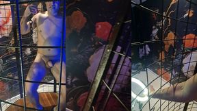 alineflavio - update #99 - 20230829_114052 - jul 16, 2024