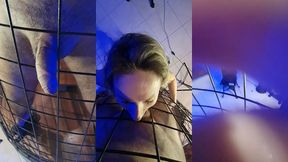 alineflavio - update #99 - 20230829_114052 - jul 16, 2024