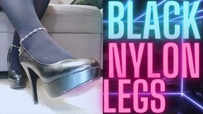 (66) BLACK NYLON LEGS