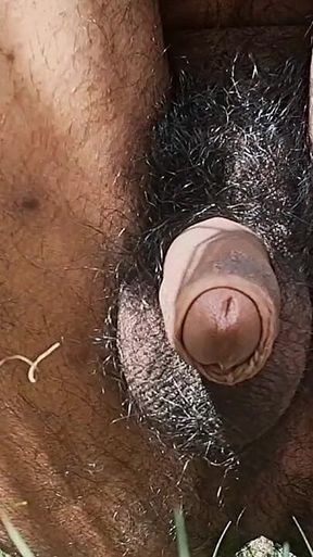 Desi Hot Indian Boy Cumshot Video.