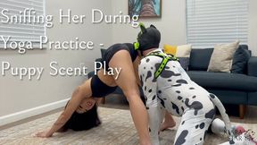 Yoga Interrupted by Eager Puppy Sniffing its Mistress with Kiara Star and Good Boi Pup - Stretch, Contortion, and Scent Play