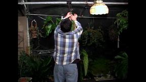 moxxie maddron is handcuffed stripped & spanked w many things