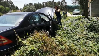 starting an abandended car after 8 months watch the wasps