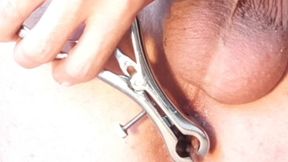 anal speculum - look deep inside my ass