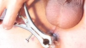 anal speculum - look deep inside my ass