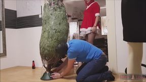 Decorate the Crismas Tree part 1