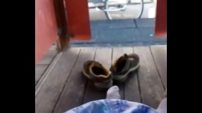 Pica en viaje con bicicleta