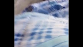 Pica en viaje con bicicleta