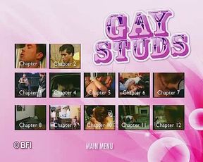 Gay studs -DVD-