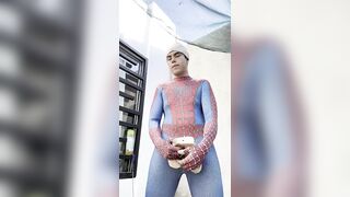 Manumas18 - Spider freeing the web