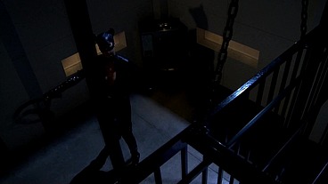 Jennifer Dark is more "yowls" than "meows" as she heats up a prison cell menage with her...