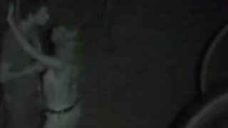 Fledgling Nightvision Outside Pound two