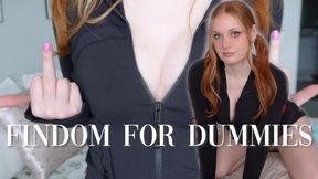 Findom For Dummies