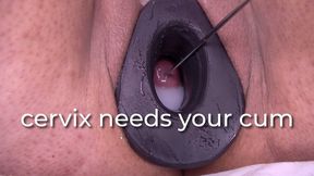 cervix needs your cum