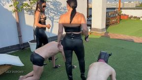 LILY DUPONT : PUPPIES AT THE PARK FOR TRAINING