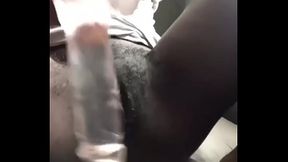 Pussy by the window