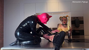 Pigbugs - Latex Doll and Pig - Squirting on The Countertop