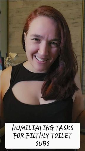 Humiliating Tasks for Filthy Toilet Subs
