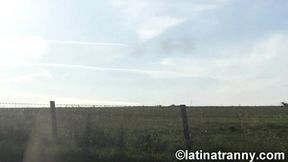 transgender whore nikki montero prostitute in swiss and london working on the streets