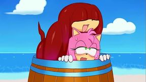 Knuckles &amp_ Amy Stuck [Excito]