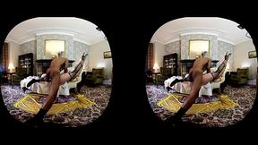 VR BTS - Agent Kink &amp_ Agent Fresh-Interagency collaboration