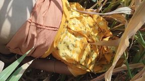 I Fucked My Stepsister in Law in the Corn Field