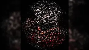 Denisa's Seductive Feet Licking Leads to Steamy Sex Encounter