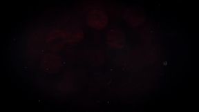 Foodie Friday - Watermelon