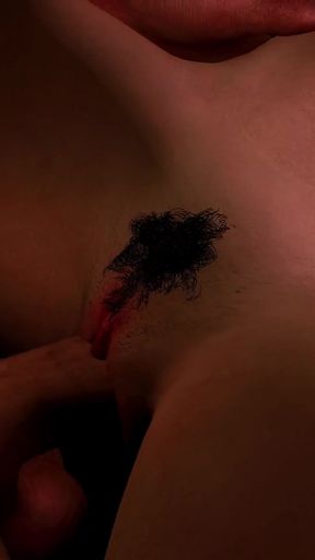 Resident Evil Leon Fucked Ada in the ASS l 3D Animation Uncensored Hentai   Clip 2