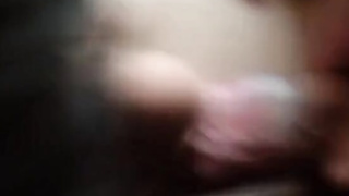 Youngster Blowage and Facial cumshot with Hefty Penis