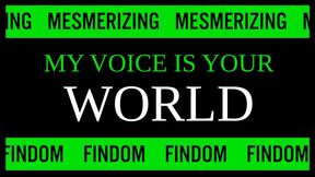My Voice is Your World