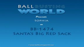 Santa's Big Red Sack BB1515