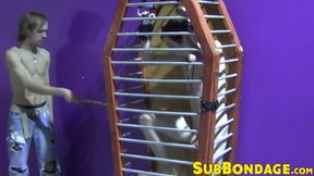 Caged twink whipped and tormented hard ends up masturbating