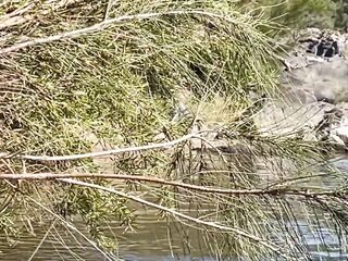 Undressed River Swim and Screwing