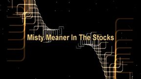 Misty Meaner In The Stocks (Small)