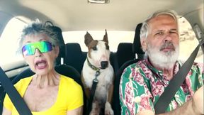 We drive around East Oahu while chatting about things sexual